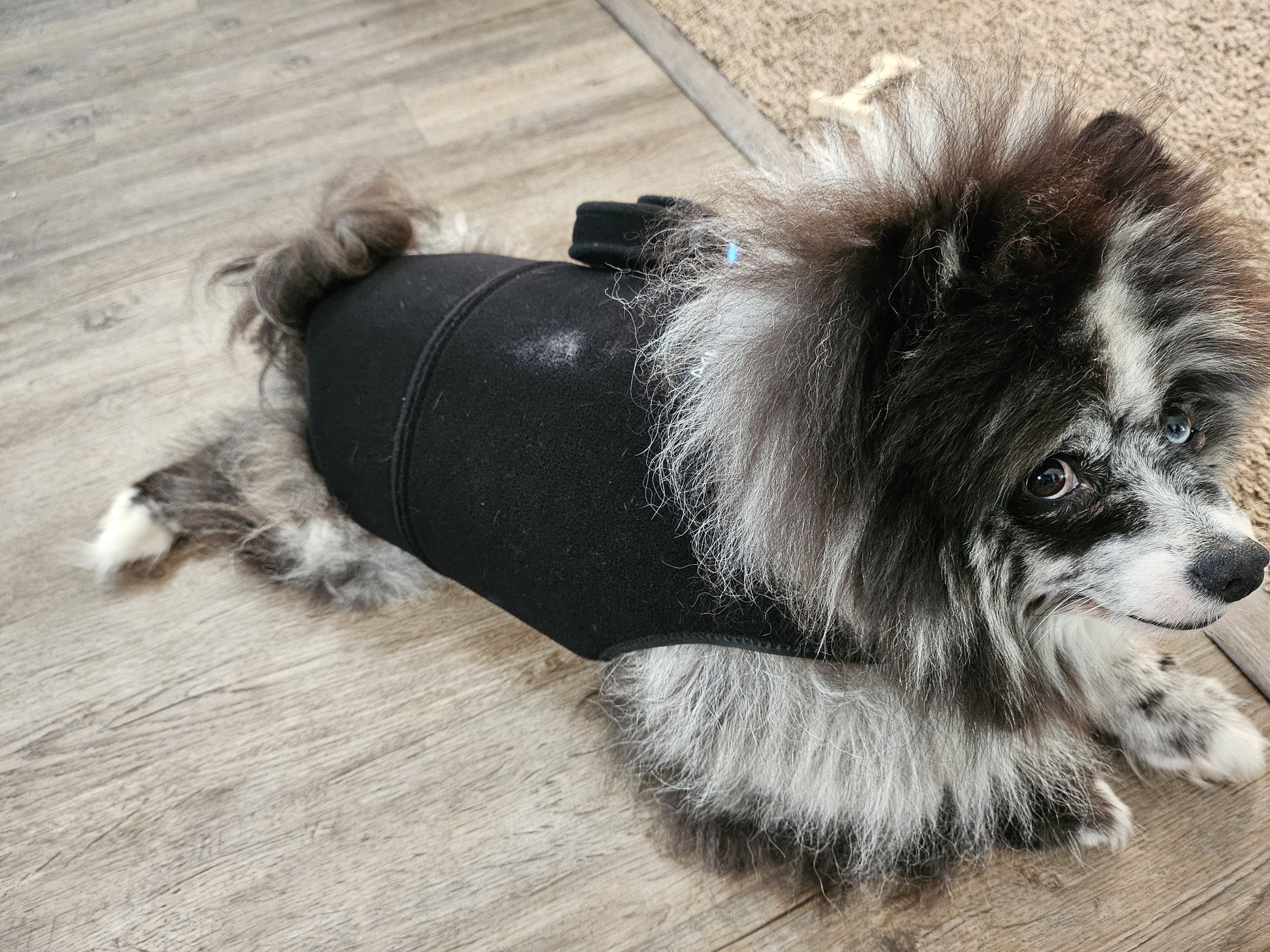 HushKat FlexRelief™ Coat