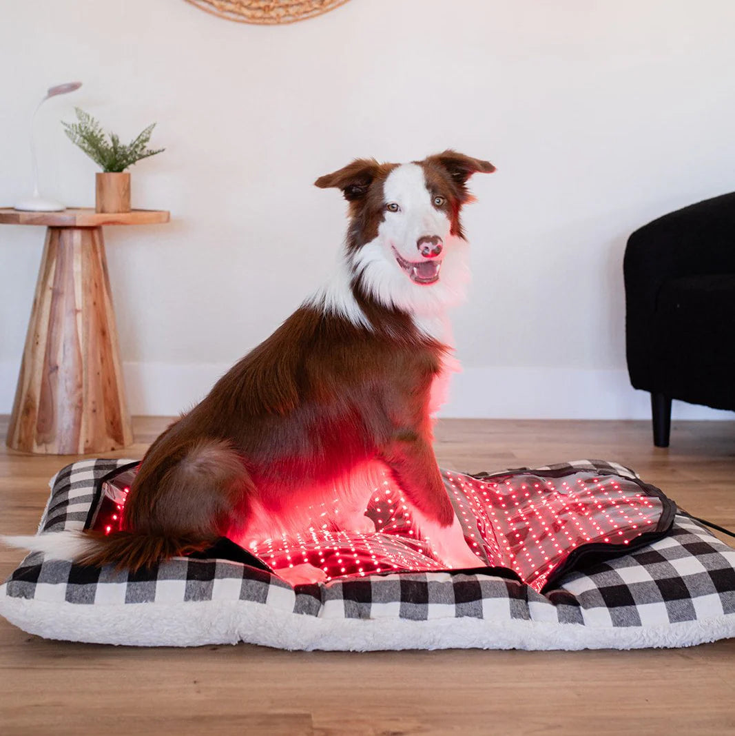 HushKat RestGlow™ Mat