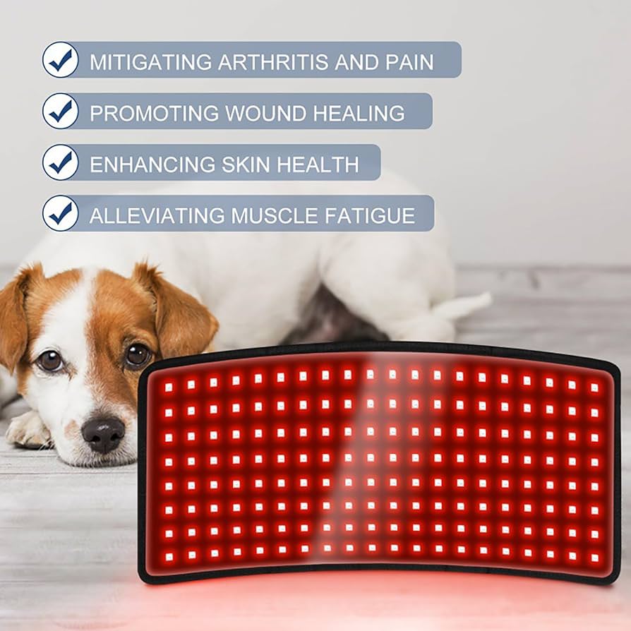 Red light therapy device for pets with a dog in the background