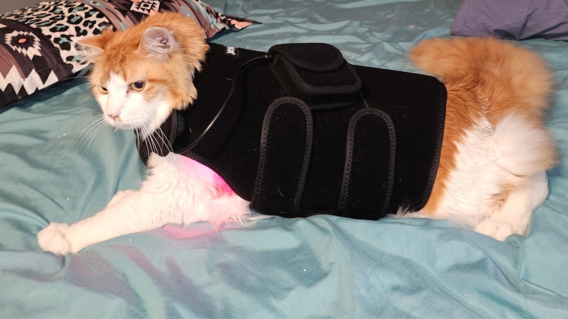 HushKat FlexRelief™ Coat