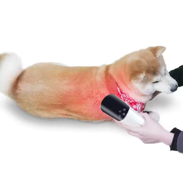 Hushkat Pulse™