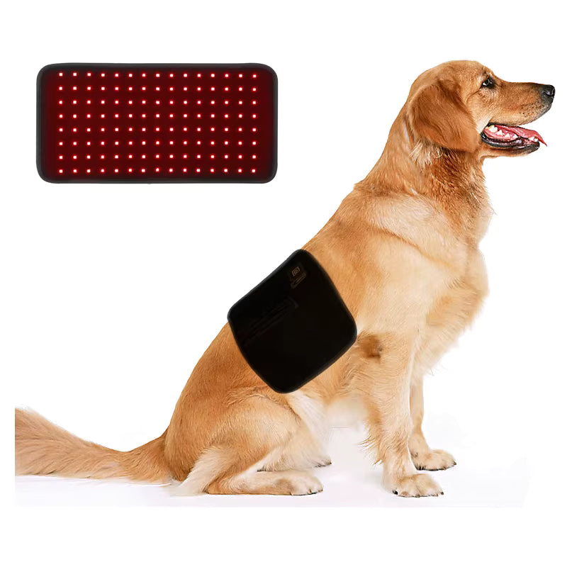 Hushkat HealPad