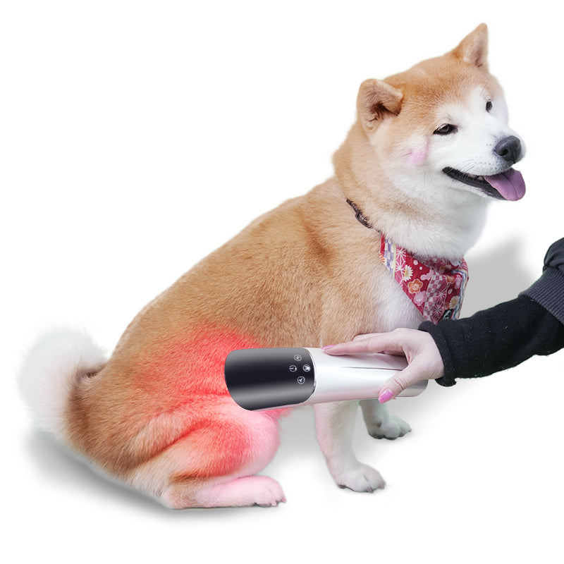 Hushkat Pulse™