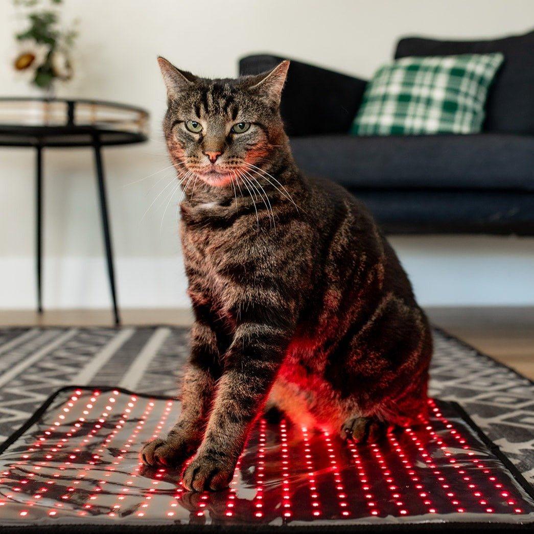 HushKat RestGlow™ Mat
