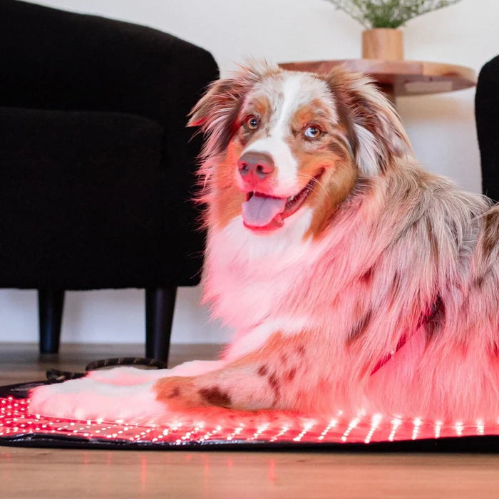 HushKat RestGlow™ Mat